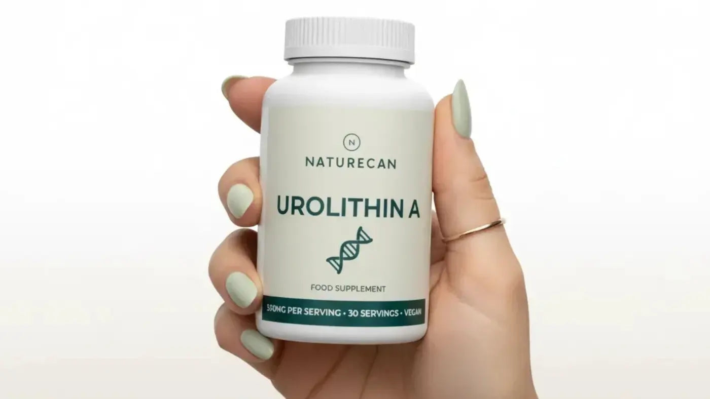 What Is Urolithin A?