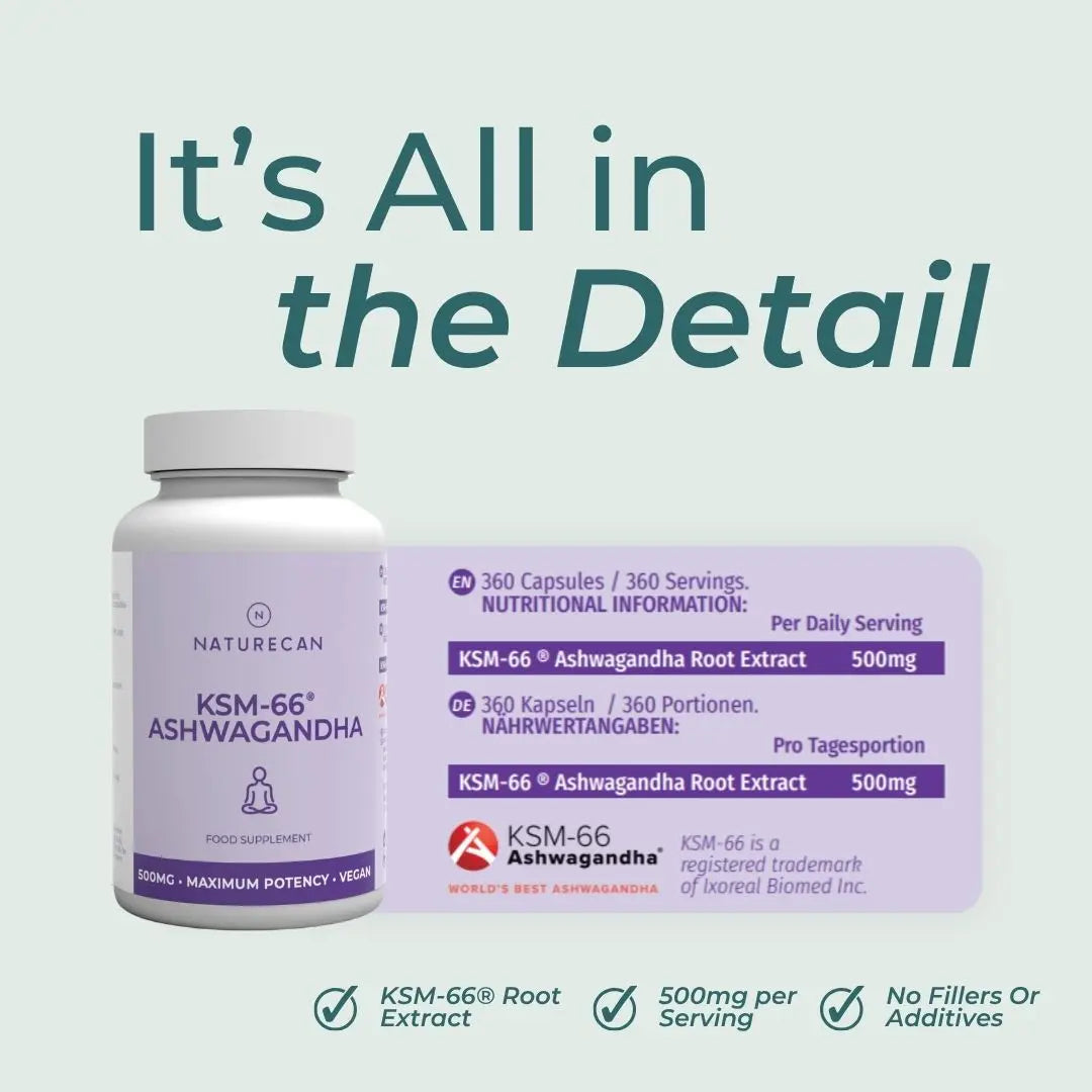Naturecan KSM-66 Ashwagandha supplement bottle and informational card on a pale green background with the headline 'It's All in the Detail'.