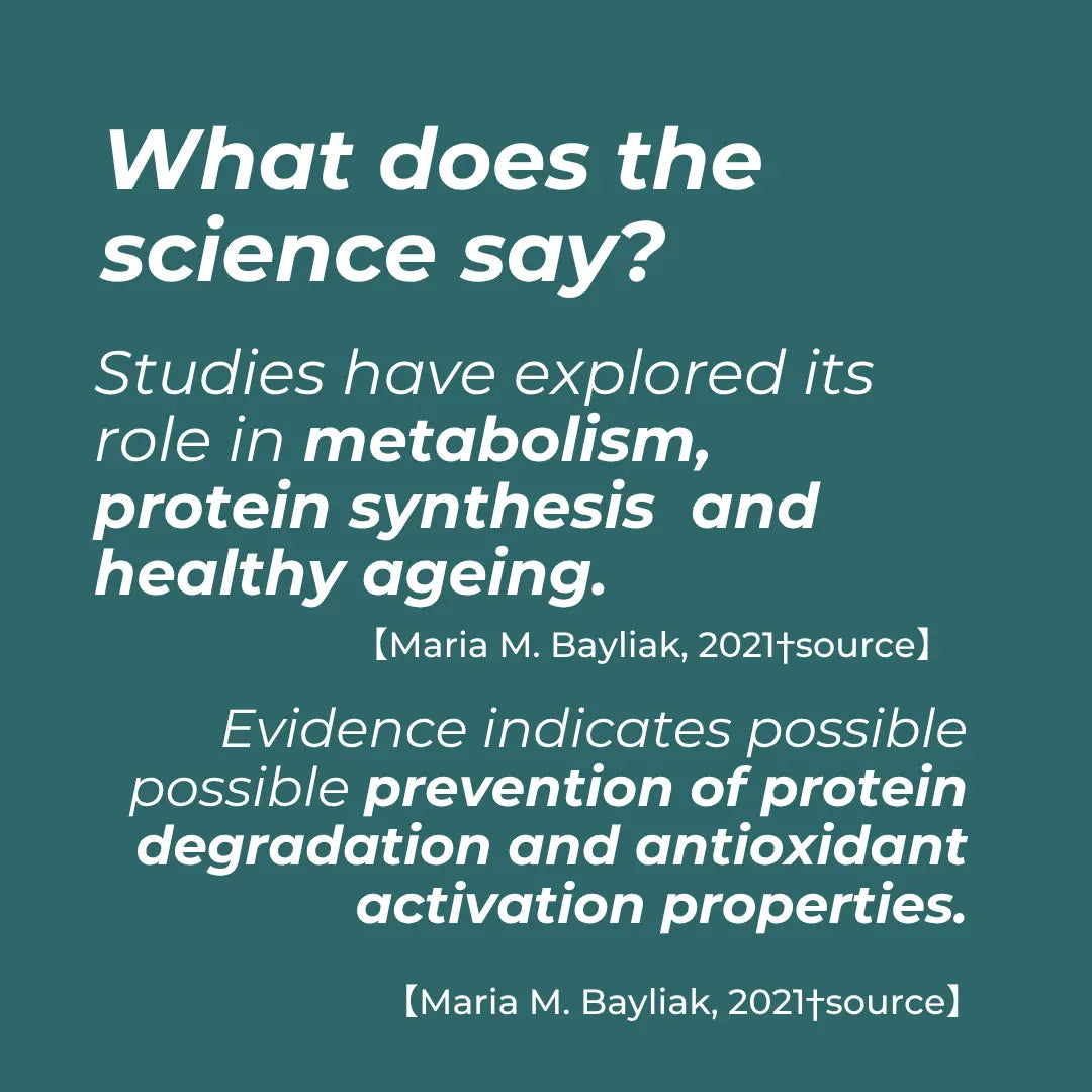 Text on a teal background discussing scientific studies on metabolism, protein synthesis, and healthy aging.