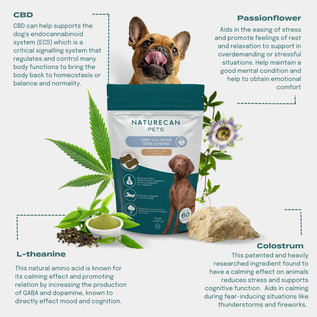Naturecan Pets CBD Calming Dog Chews packaging with ingredients and benefits for dogs, including CBD, Passionflower, and L-theanine.