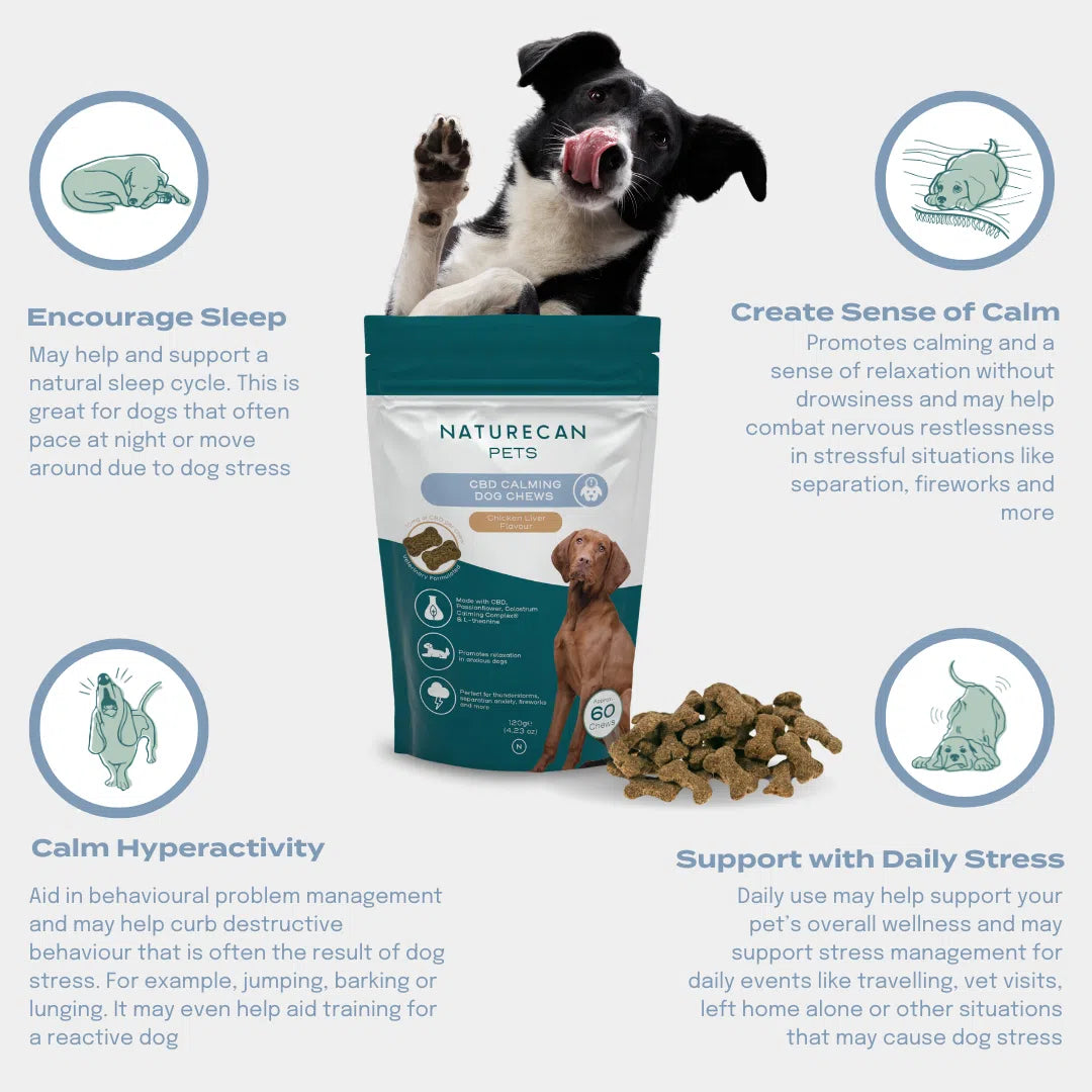 Naturecan Pets CBD Calming Dog Chews packaging with a dog, highlighting benefits like sleep and stress support.