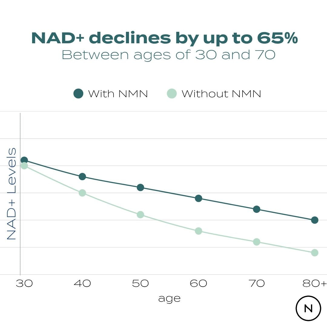 NAD+ levels decline graph with and without NMN from ages 30 to 80, showing up to 65% decrease.