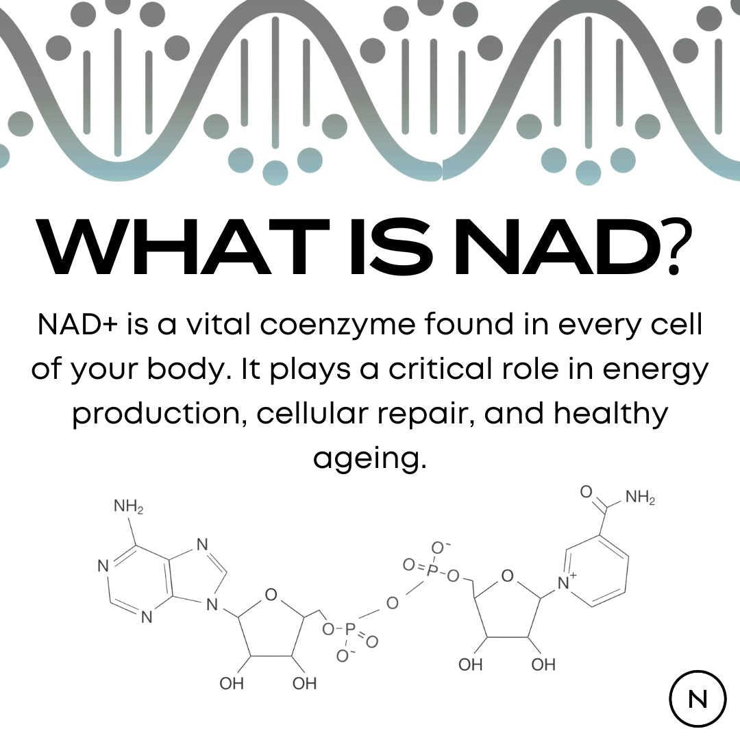 What is NAD? Text explains NAD+ as a vital coenzyme for energy, repair, and ageing, with a molecular structure shown.