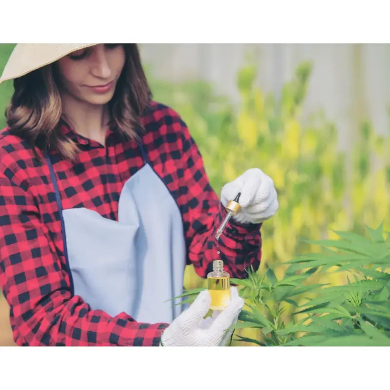 What is the entourage effect?-Naturecan NZ