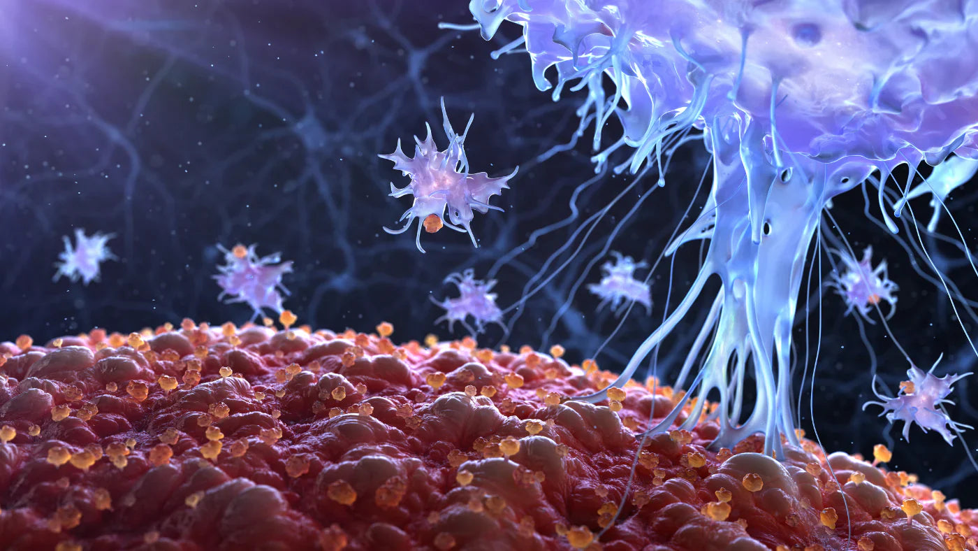 Immune system boosting supplements explained
