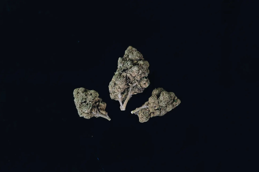 CBC: A Detailed Look Inside the Hemp Plant