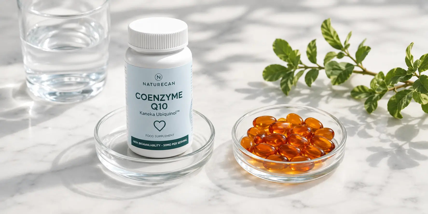 Ubiquinol vs CoQ10: What's the Difference and Which Should You Take?-Naturecan NZ