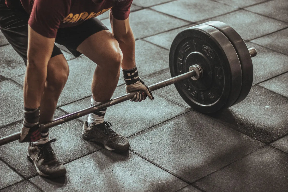 Creatine 101: Maximising Your Muscle Gains with Creatine