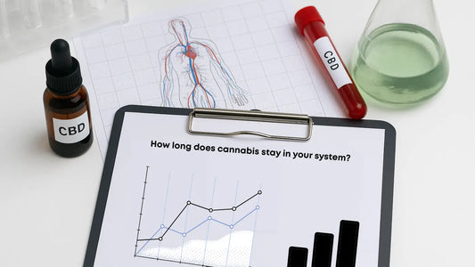 Lab tests about how long does Cannabis stay in your system