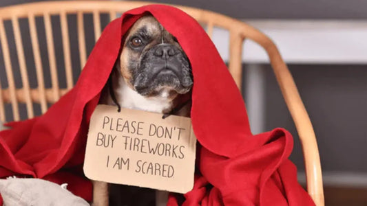 dog hiding under a red blanket, holding a sign saying "please don't buy fireworks i am scared"