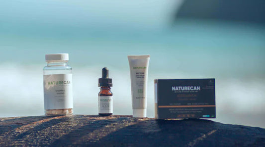 Naturecan s CBD products in a rock with beach for background