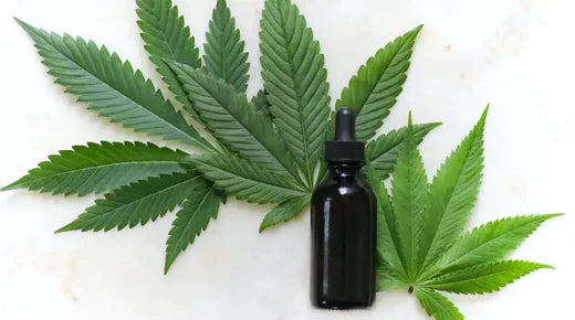 What are cannabinoids
