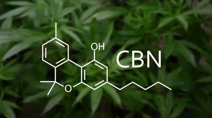 What is CBN