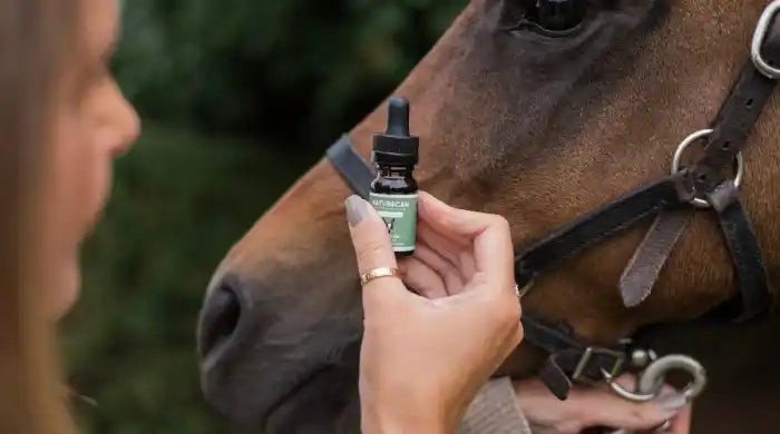 CBD and CBDA isolate for pets