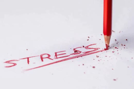 CBD & Stress