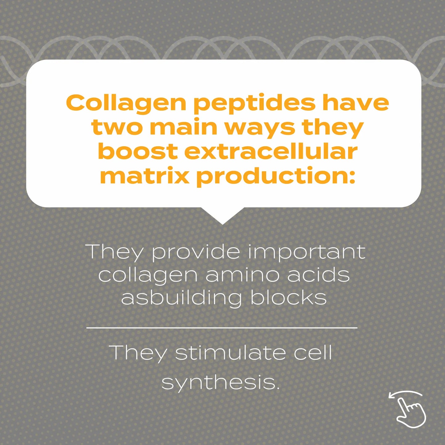 Collagen peptides boost extracellular matrix by providing amino acids and stimulating cell synthesis, as shown in text.
