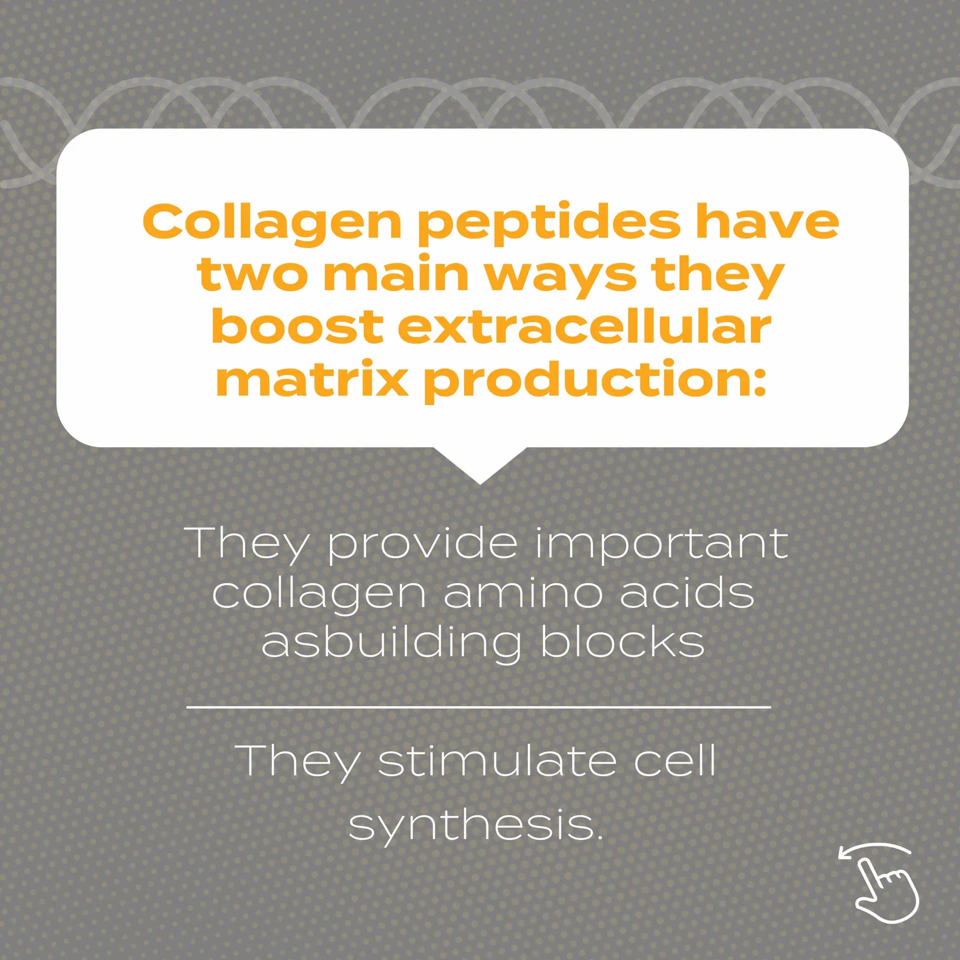 Collagen peptides boost extracellular matrix via amino acids and cell synthesis