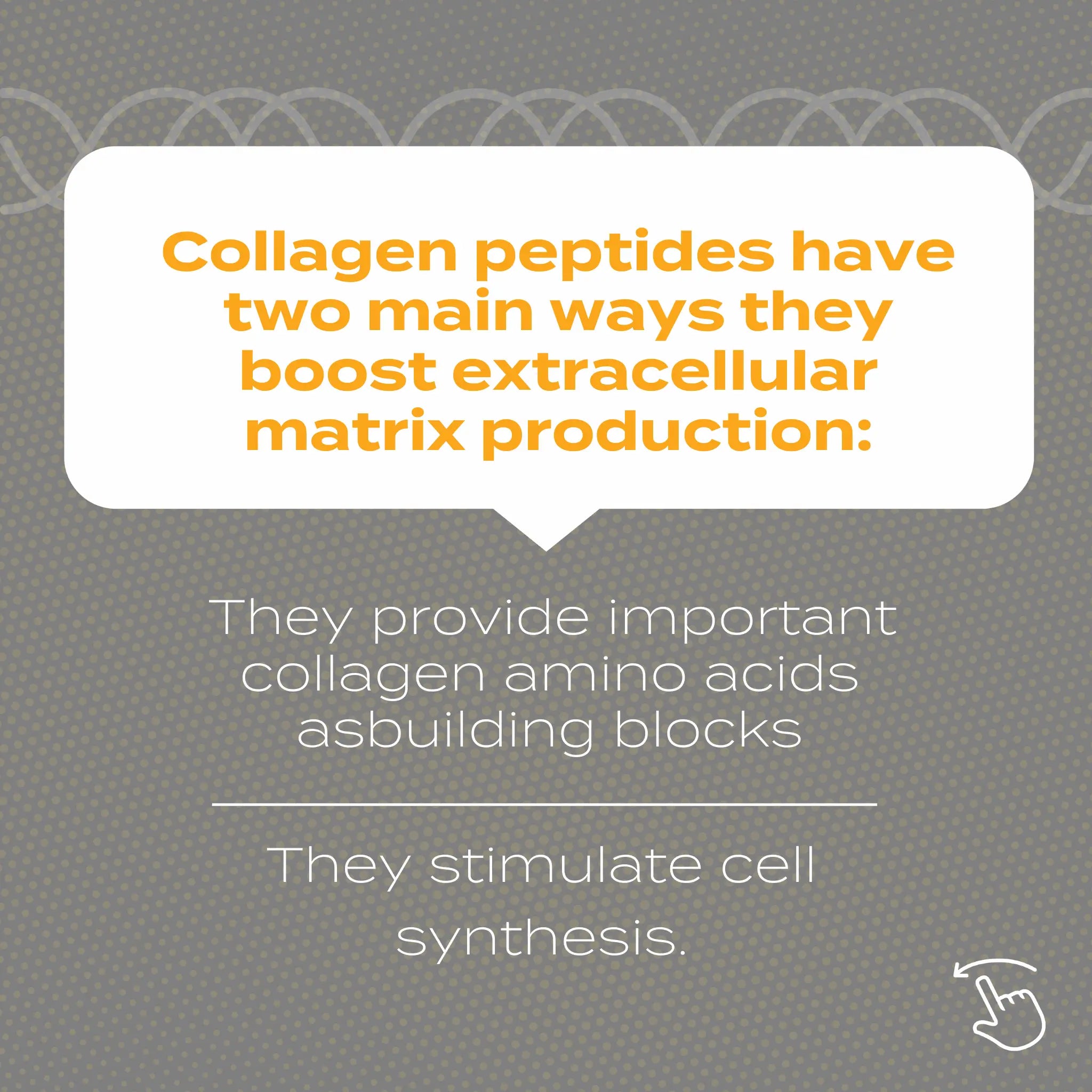 Collagen peptides boost extracellular matrix by providing amino acids and stimulating cell synthesis, as shown in text.
