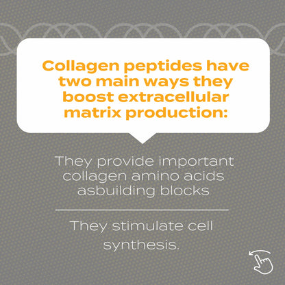 Collagen peptides boost extracellular matrix via amino acids and cell synthesis