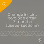 Joint cartilage changes in 3 months, depicted with text and DNA-like pattern on a gray background.