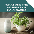 Naturecan Holy Basil supplement bottle next to a potted basil plant with text asking about its benefits.