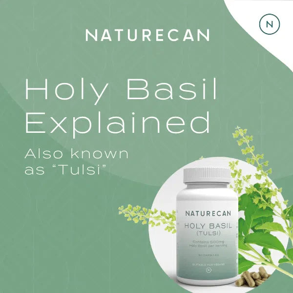 Naturecan Holy Basil supplement packaging with Tulsi plant illustration.