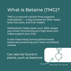 Betaine (TMG) supports methylation for DNA repair, brain, and liver health, found in beets, 100g equals 130-150 TMG.