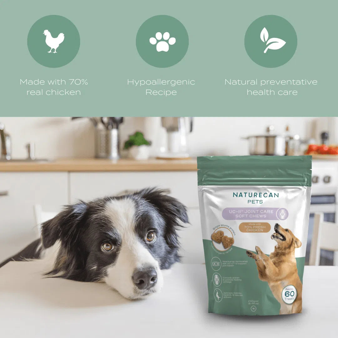 Naturecan Pets packaging with a Border Collie in a kitchen, highlighting 70% chicken, hypoallergenic recipe, and joint care benefits.
