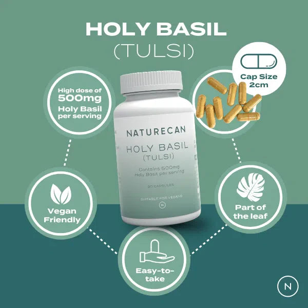 Naturecan Holy Basil (Tulsi) supplement bottle with benefits: 500mg dosage, vegan-friendly, easy-to-take capsules.