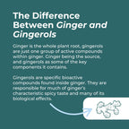 Text explaining the difference between ginger and gingerols on a teal background with a ginger root illustration.