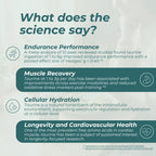 Infographic on taurine's benefits for endurance performance, muscle recovery, cellular hydration, and longevity.
