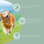 Golden retriever running on grass; text highlights joint health benefits.