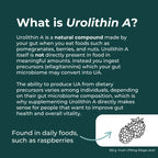 Informational text about Urolithin A on a green background with a graphic of berries.