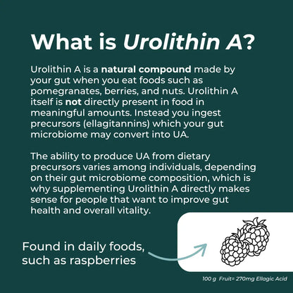 Informational text about Urolithin A on a green background with a graphic of berries.