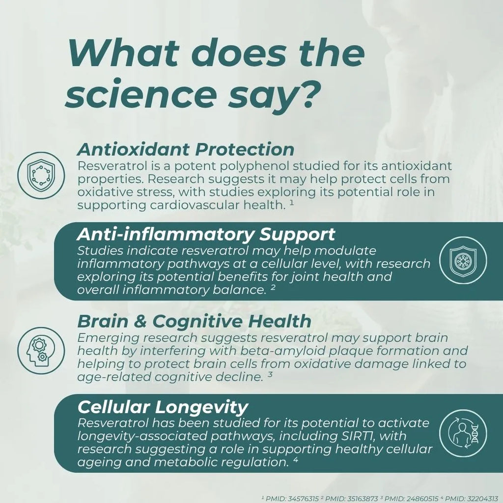 An infographic titled 'What does the science say?' about resveratrol's benefits, featuring text sections on antioxidant protection, anti-inflammatory support, brain and cognitive health, and cellular longevity over a pale teal background with a faint human silhouette.