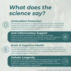 An infographic titled 'What does the science say?' about resveratrol's benefits, featuring text sections on antioxidant protection, anti-inflammatory support, brain and cognitive health, and cellular longevity over a pale teal background with a faint human silhouette.