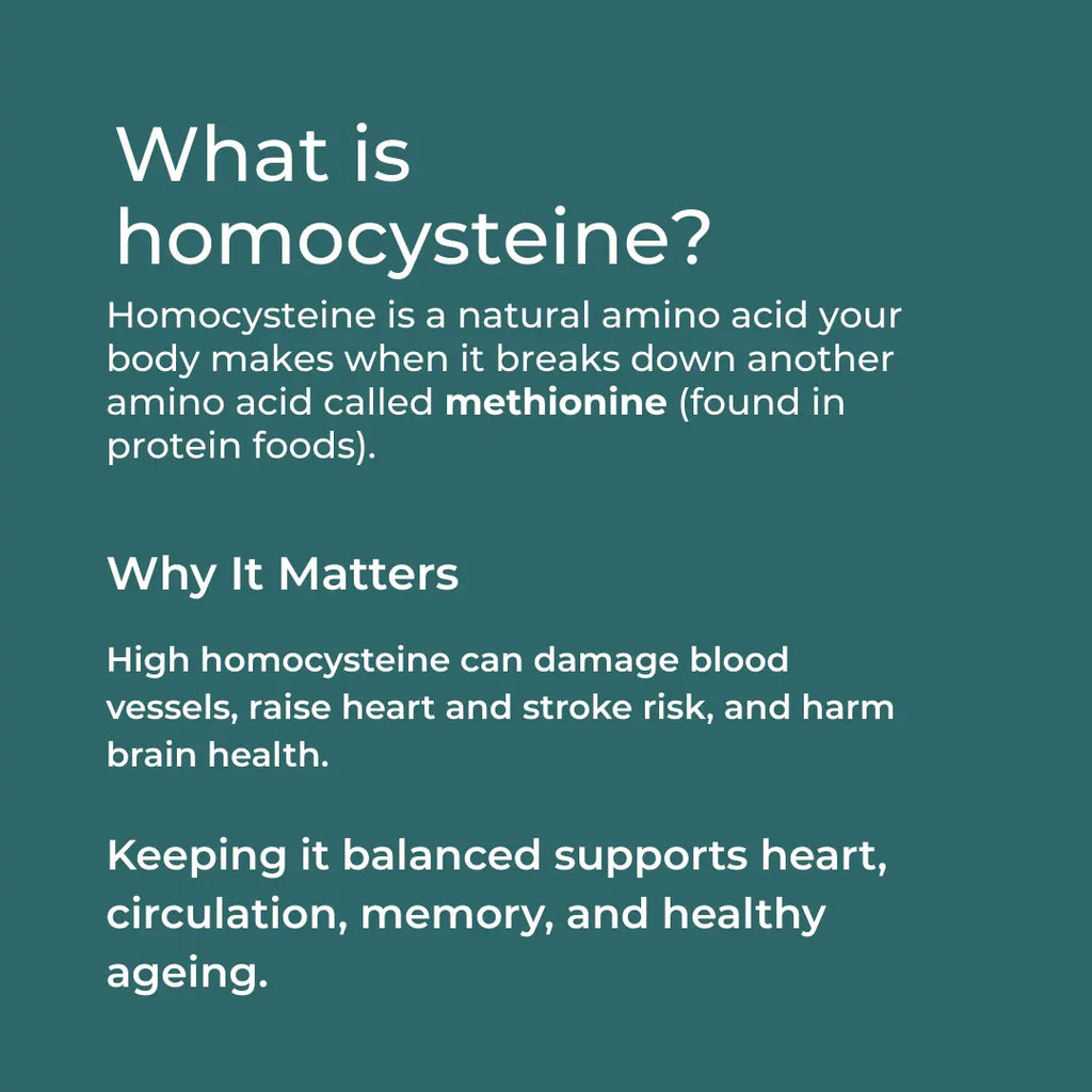 Text explaining homocysteine, its role in breaking down methionine, and its impact on heart and brain health.