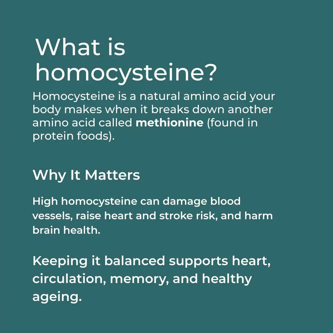 Text explaining homocysteine, its role in breaking down methionine, and its impact on heart and brain health.