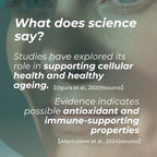 Text on a face background: "What does science say? Supporting cellular health, healthy ageing, antioxidant and immune properties."