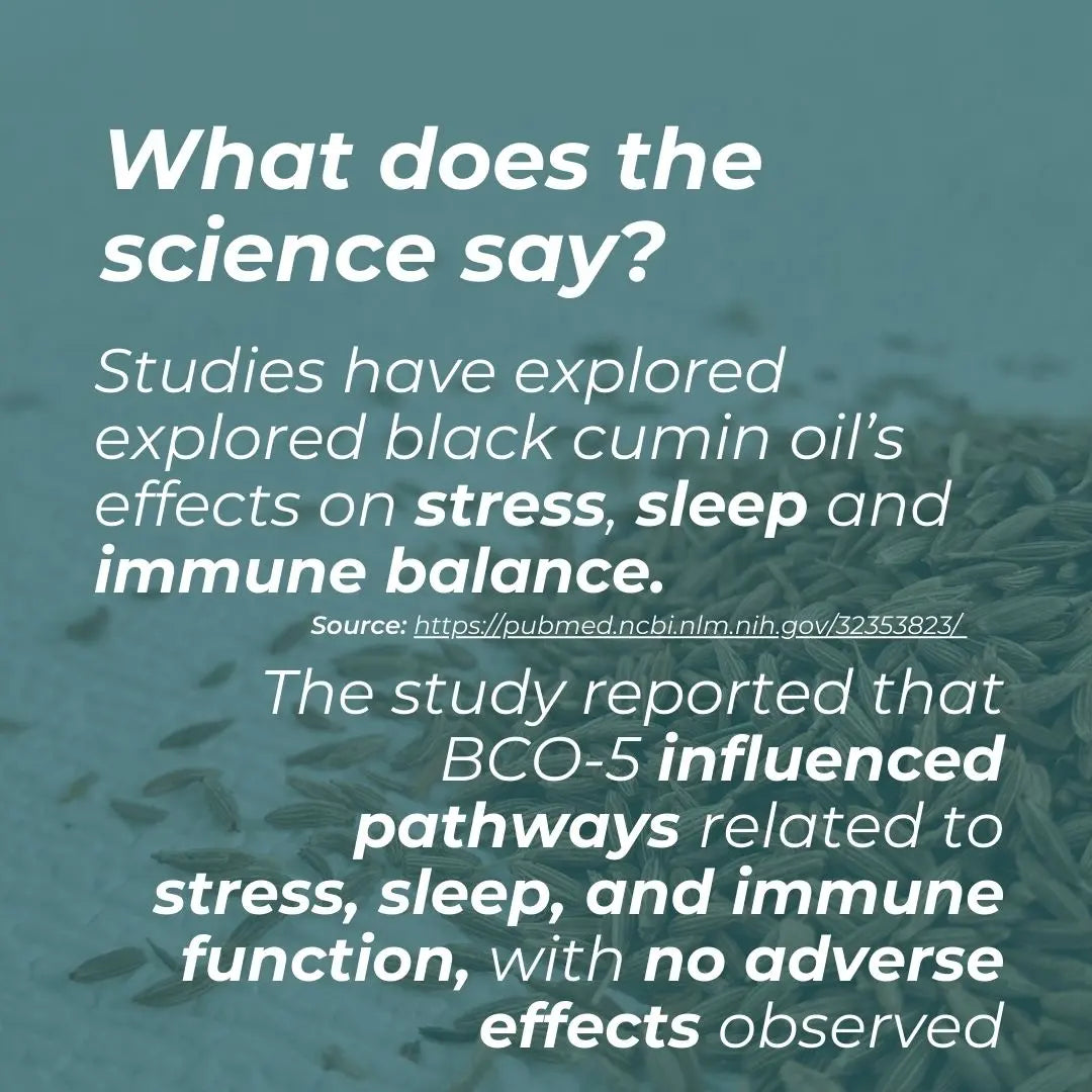 Text about black cumin oil's effects on stress, sleep, and immune balance with a blurred background of black cumin seeds.