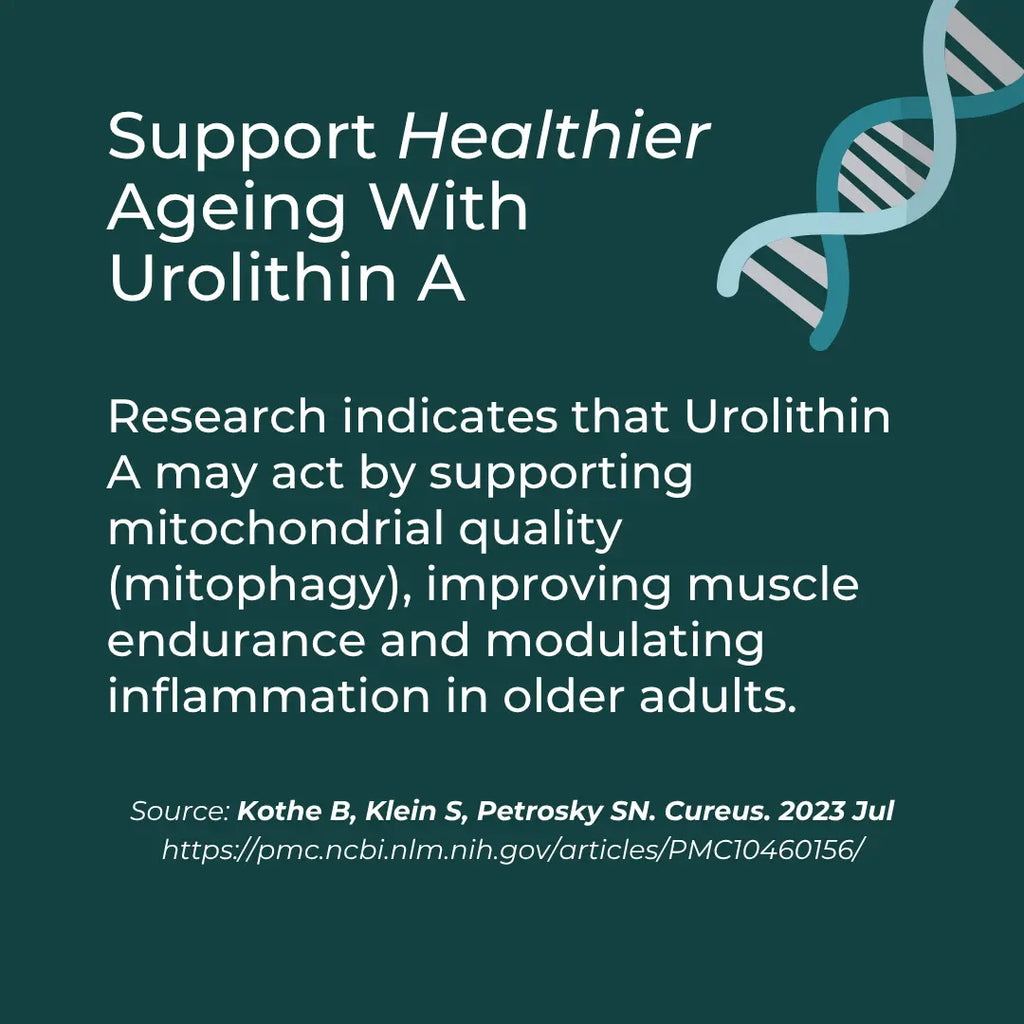 Promotional graphic for Urolithin A with text about supporting healthier aging on a dark green background.