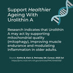 Promotional graphic for Urolithin A with text about supporting healthier aging on a dark green background.