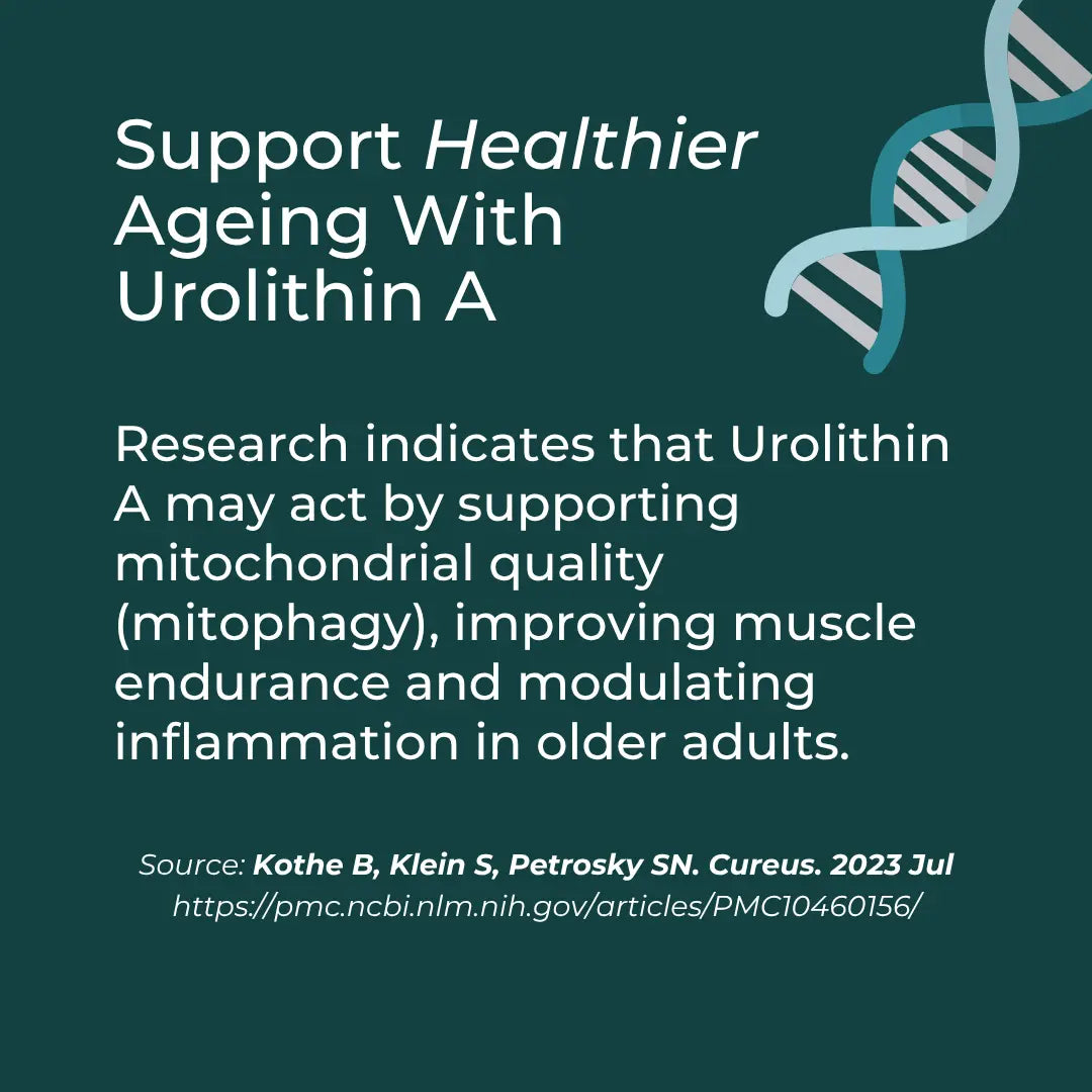 Promotional graphic for Urolithin A with text about supporting healthier aging on a dark green background.