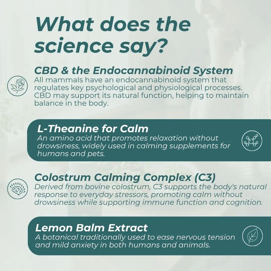 Educational infographic about CBD, L-Theanine, Colostrum Calming Complex, and Lemon Balm Extract on a light background.