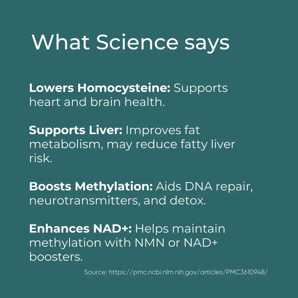 Science benefits infographic: lowering homocysteine, supporting liver, boosting methylation, enhancing NAD+.