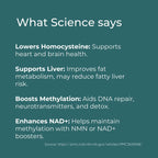 Science benefits infographic: lowering homocysteine, supporting liver, boosting methylation, enhancing NAD+.