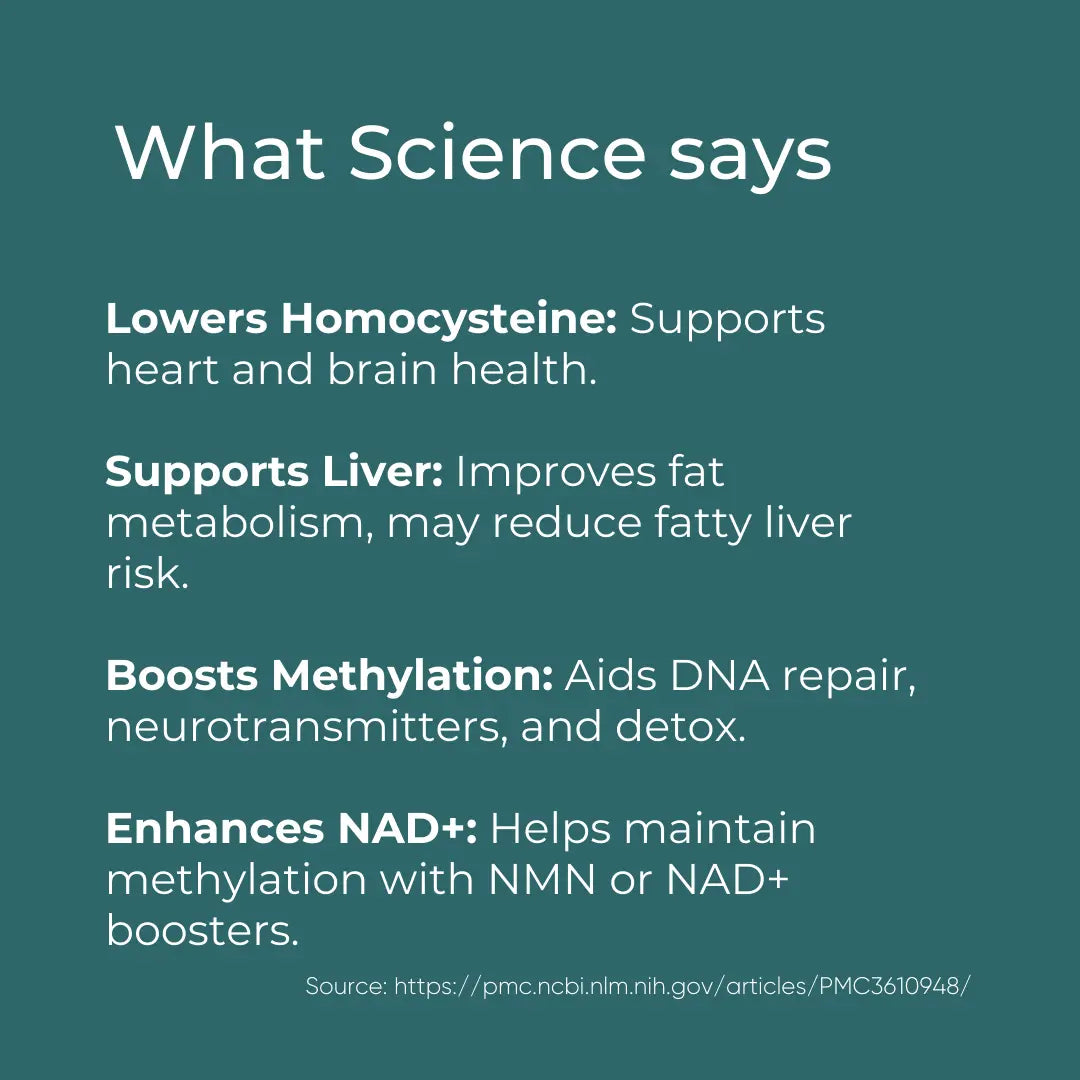 Science benefits infographic: lowering homocysteine, supporting liver, boosting methylation, enhancing NAD+.