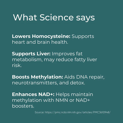 Science benefits infographic: lowering homocysteine, supporting liver, boosting methylation, enhancing NAD+.