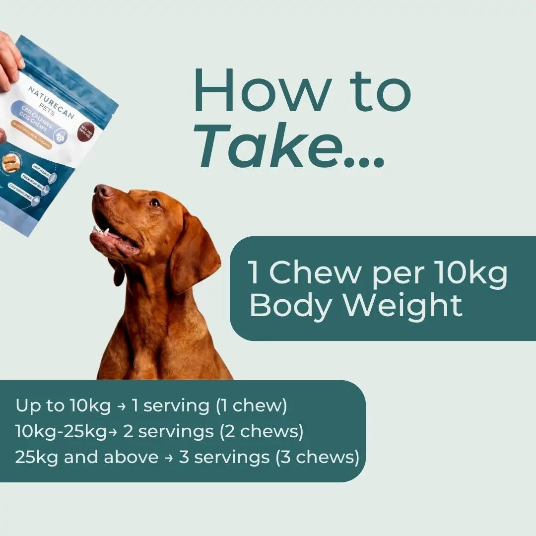 Dog with a package of pet treats and instructions on how to administer them based on body weight.