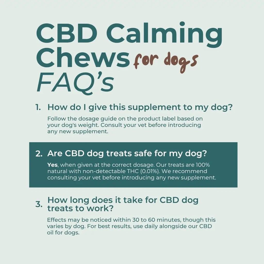 FAQs about CBD Calming Chews for dogs on a light blue background